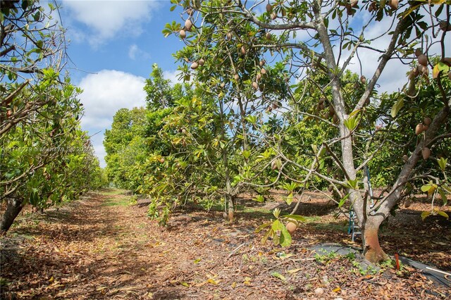 25420 SW 224th Ave, Homestead, FL 33031