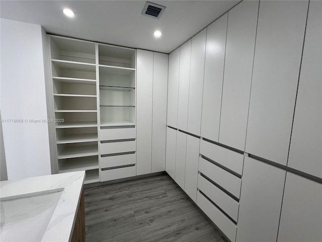 spacious closet featuring dark wood-type flooring