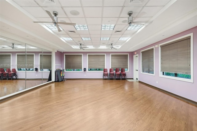 workout room featuring hardwood / wood-style flooring, a drop ceiling, and ceiling fan