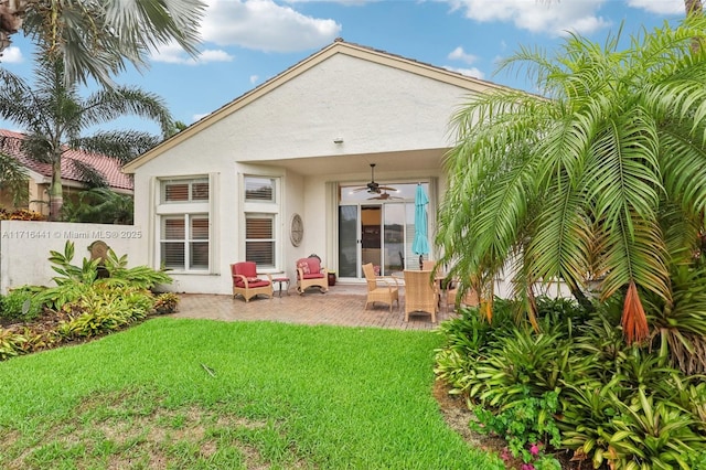 back of house with a yard, a patio, and ceiling fan