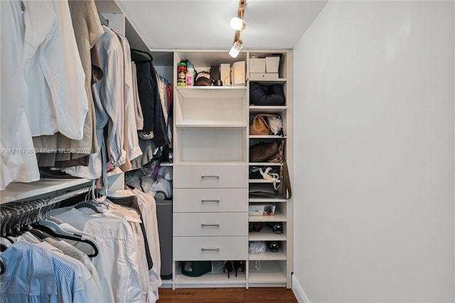 spacious closet with dark hardwood / wood-style floors