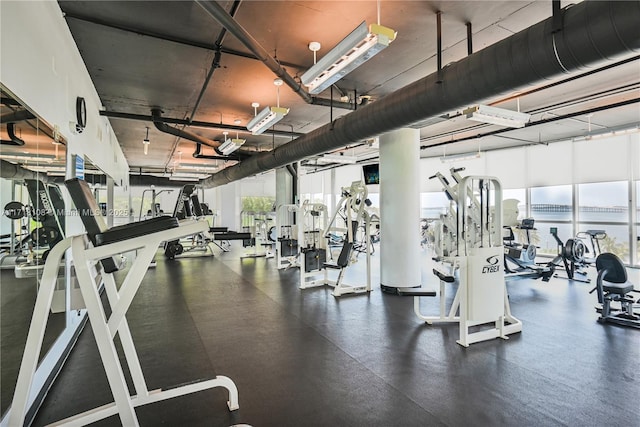 workout area featuring floor to ceiling windows