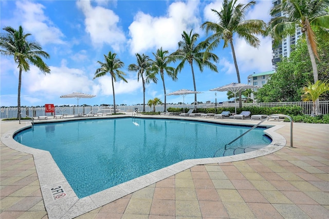 view of pool featuring a patio