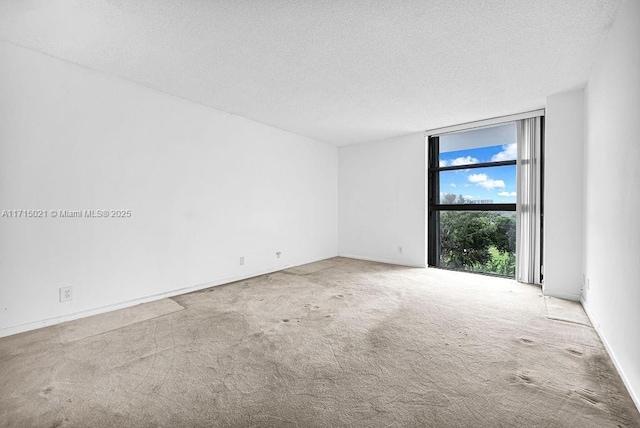 spare room with light carpet, a textured ceiling, and a wall of windows