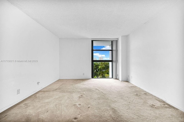 spare room featuring a textured ceiling and light colored carpet