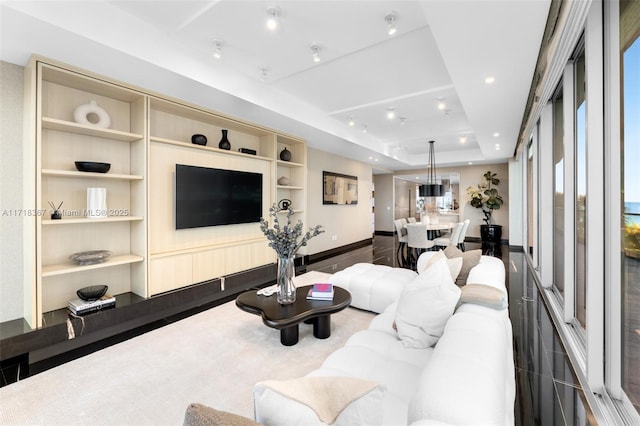 living room with a raised ceiling