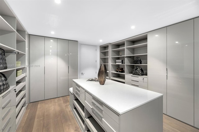 spacious closet with light hardwood / wood-style flooring