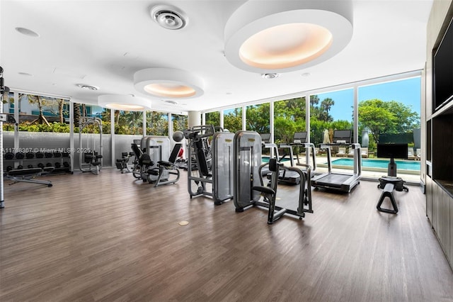 exercise room with dark hardwood / wood-style floors and floor to ceiling windows