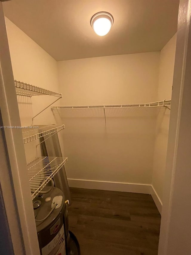 spacious closet featuring dark wood-type flooring