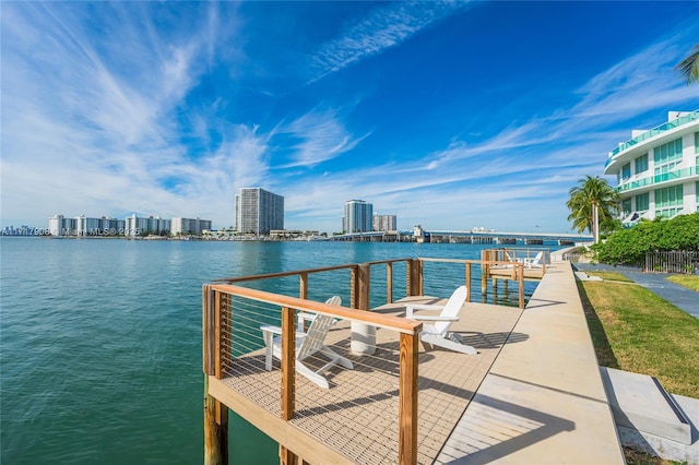 dock area with a water view