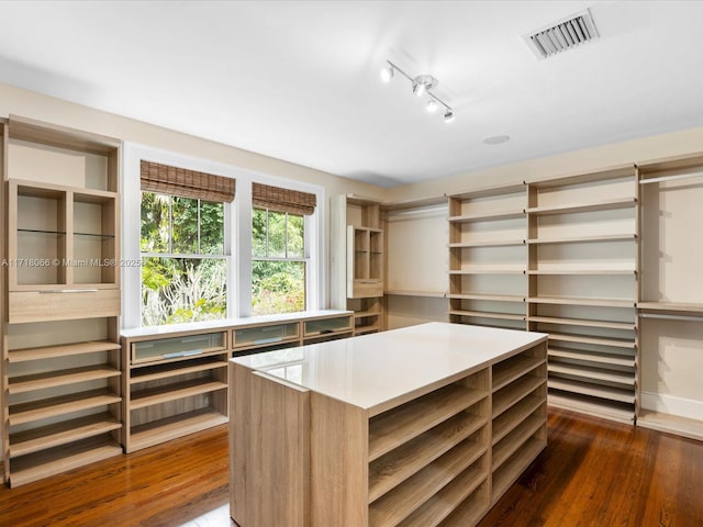 spacious closet with dark hardwood / wood-style flooring