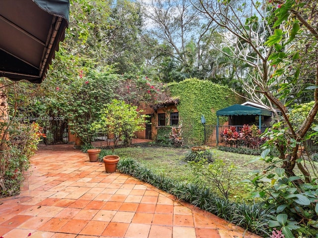 view of yard featuring a patio area