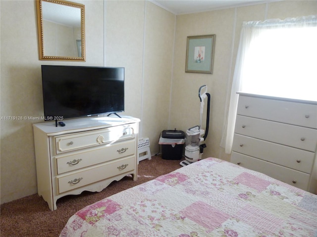 bedroom with dark colored carpet