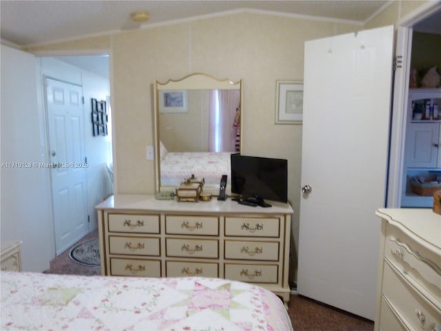 bedroom featuring lofted ceiling