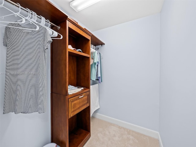 spacious closet with light colored carpet