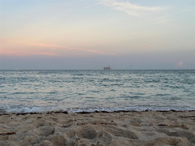 view of water feature featuring a view of the beach