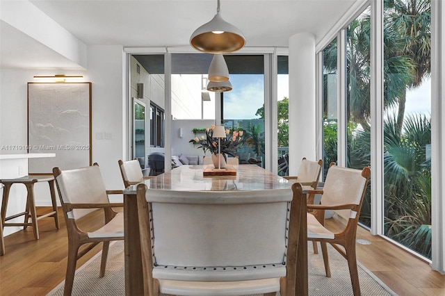 dining room featuring plenty of natural light, expansive windows, and light hardwood / wood-style floors