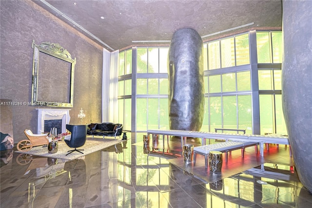 playroom featuring a wall of windows and a wealth of natural light