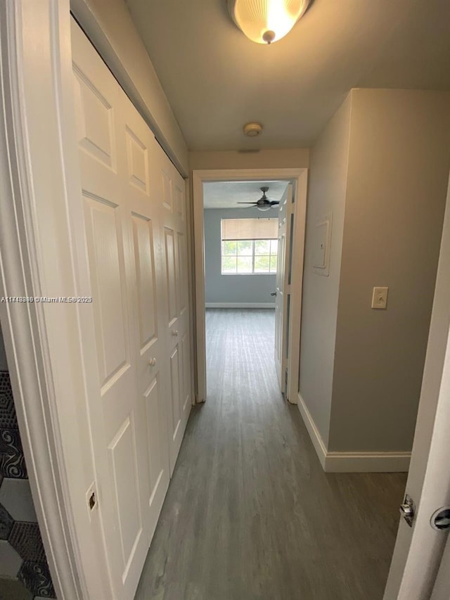 hallway featuring dark hardwood / wood-style flooring