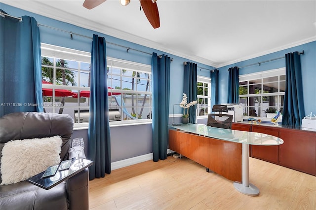 office space with light hardwood / wood-style flooring, ceiling fan, and crown molding