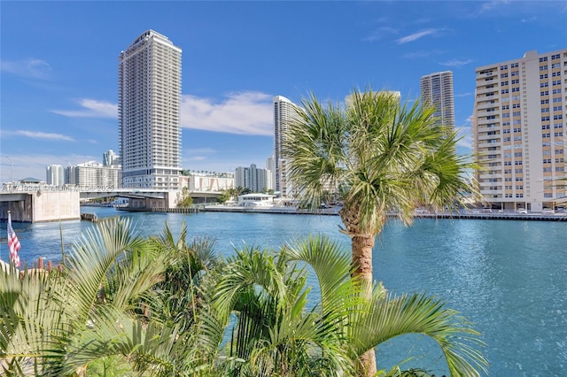 property view of water with a city view