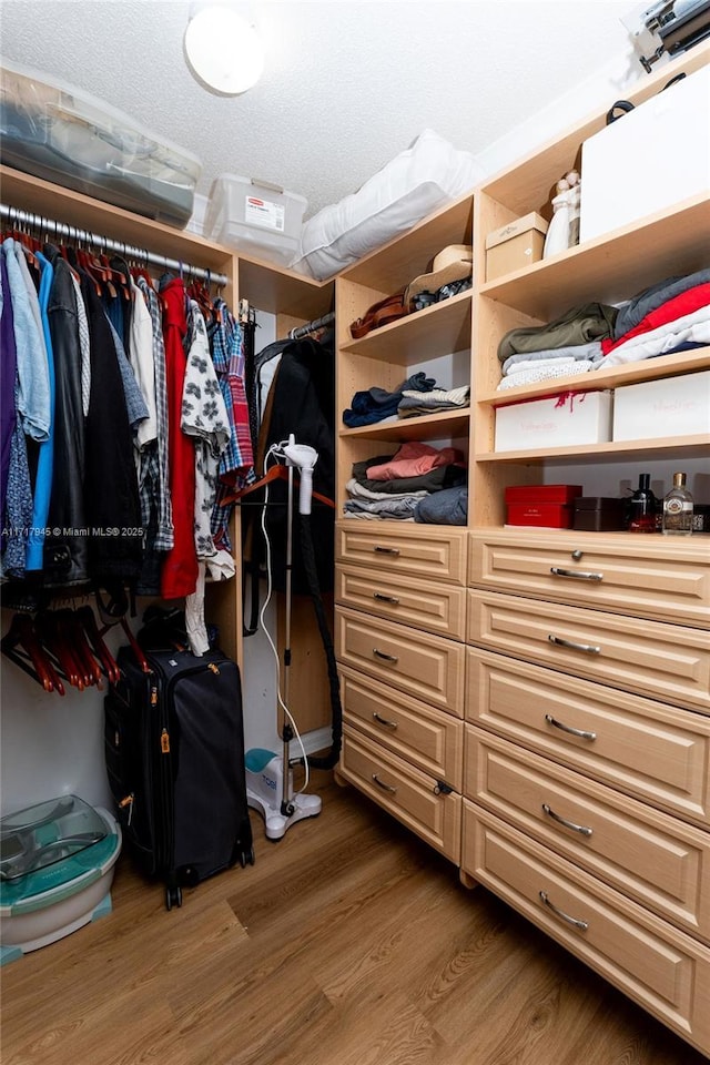 13080 NW 8th Ct, Sunrise, FL 33325 - spacious closet featuring wood finished floors