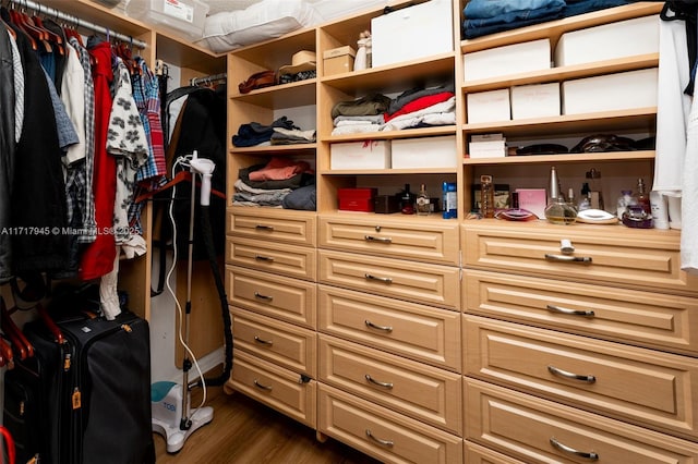 13080 NW 8th Ct, Sunrise, FL 33325 - walk in closet featuring dark wood-style floors