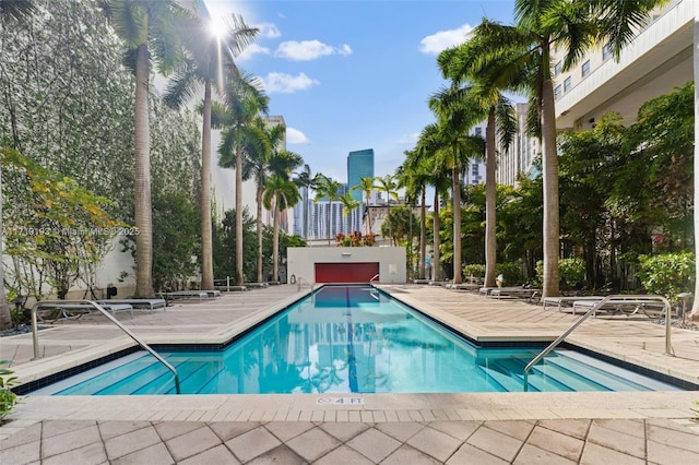 view of swimming pool featuring a patio area