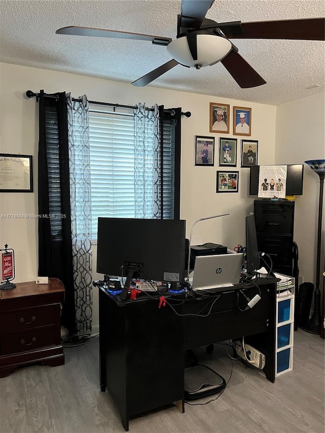 home office featuring ceiling fan, light hardwood / wood-style floors, and a textured ceiling