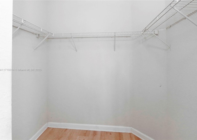 walk in closet featuring wood-type flooring