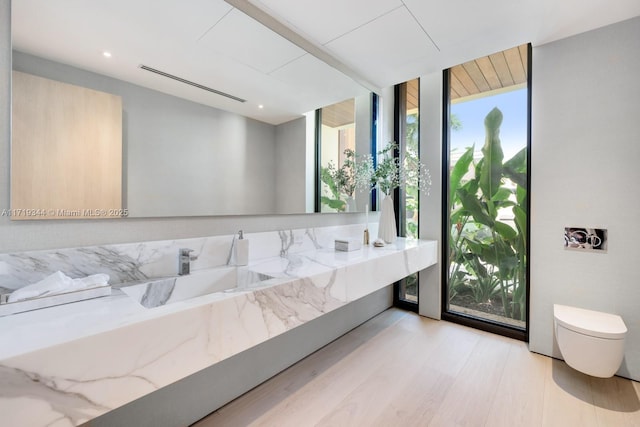 bathroom featuring hardwood / wood-style floors, vanity, and toilet