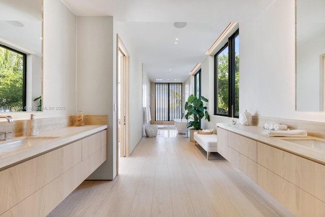 bathroom with hardwood / wood-style floors, vanity, and a healthy amount of sunlight