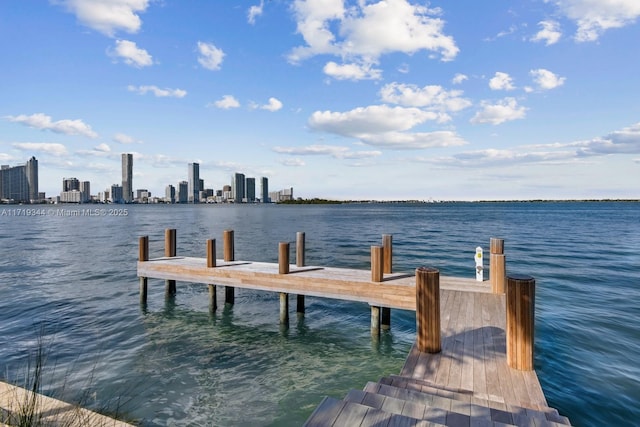 dock area with a water view