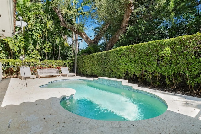 view of swimming pool with a patio