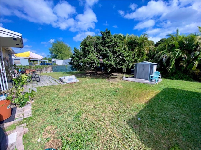 view of yard with a patio and a storage unit