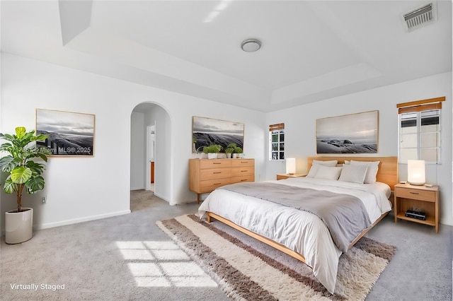 bedroom with carpet flooring and a raised ceiling