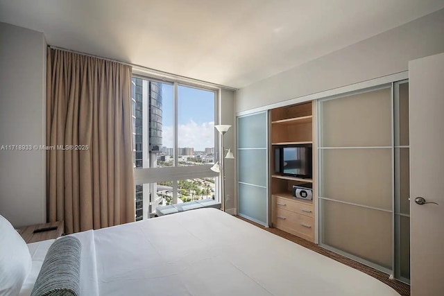 bedroom with a closet, a wall of windows, and multiple windows