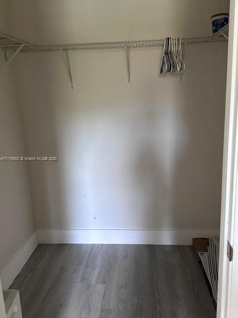 walk in closet featuring dark wood-type flooring