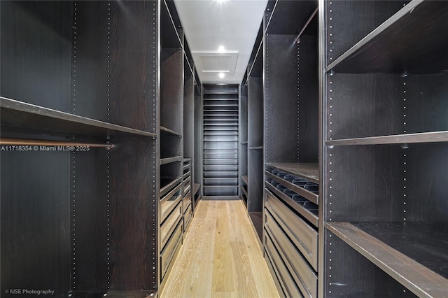 spacious closet with wood-type flooring