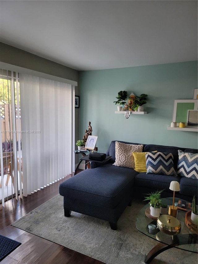 living room featuring wood-type flooring