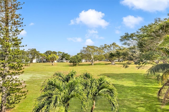 3003 Lyndhurst H Unit 3003, Deerfield Beach, FL 33442 - view of green lawn