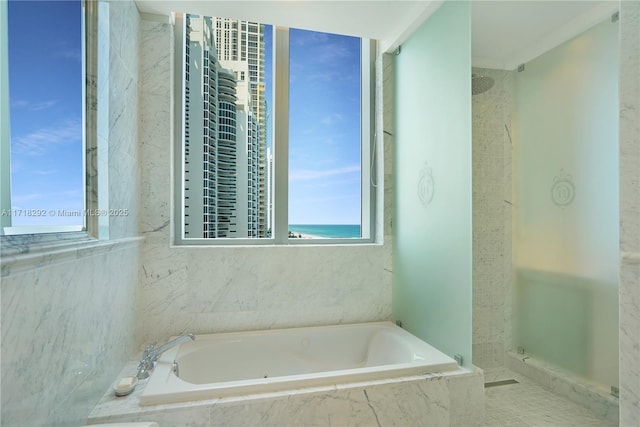 bathroom featuring separate shower and tub