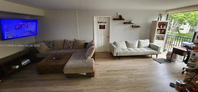 living room with light hardwood / wood-style floors