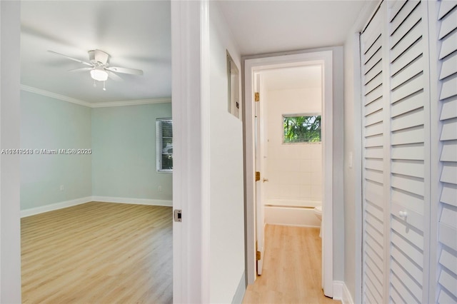 corridor featuring light hardwood / wood-style flooring and crown molding