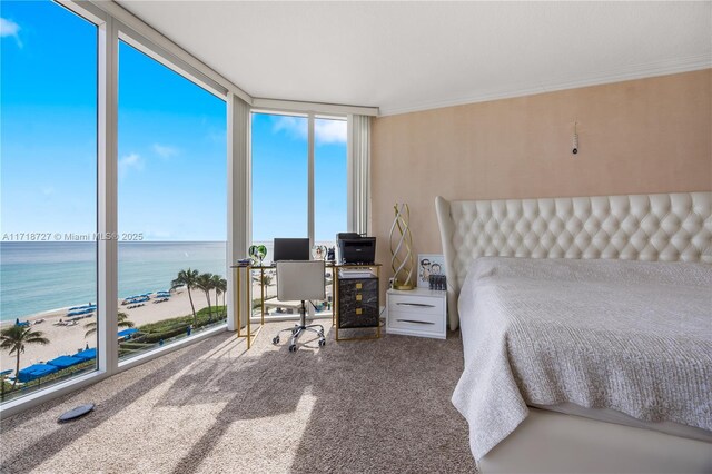 bedroom with a view of the beach, a wall of windows, ornamental molding, and carpet