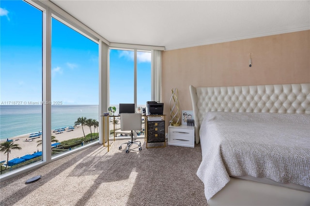 carpeted bedroom featuring a view of the beach, crown molding, and floor to ceiling windows