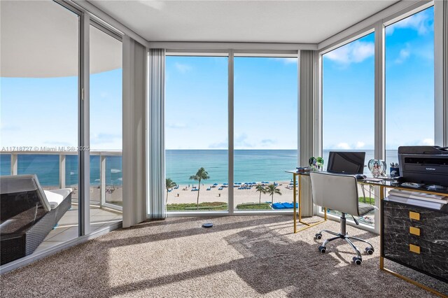 carpeted office featuring floor to ceiling windows