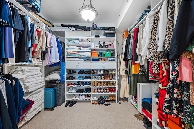 walk in closet featuring carpet floors