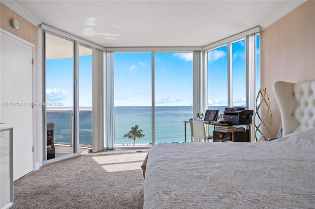 carpeted bedroom featuring multiple windows and a wall of windows