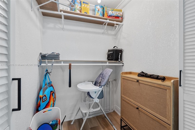 spacious closet featuring hardwood / wood-style flooring